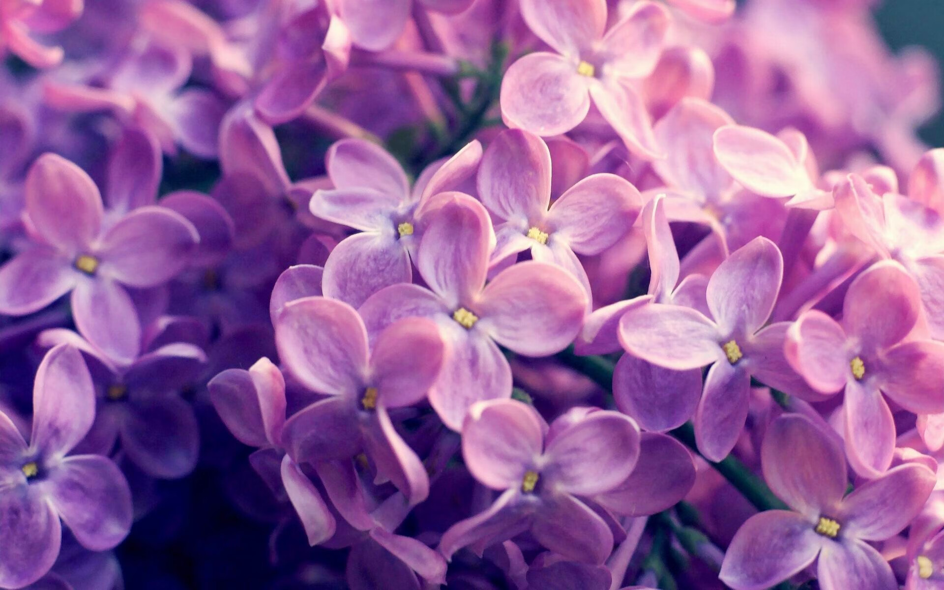 爱游戏体育入口-“新加坡泳池热战!游泳与水上芭蕾让观众大呼过瘾”