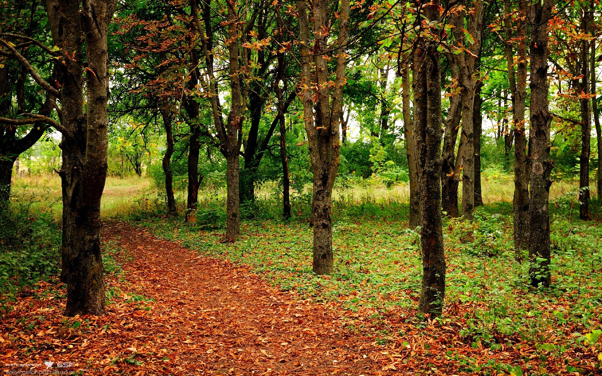 爱游戏体育app-中国三人篮球男队专注攻守节奏把控，中国三人篮球男篮