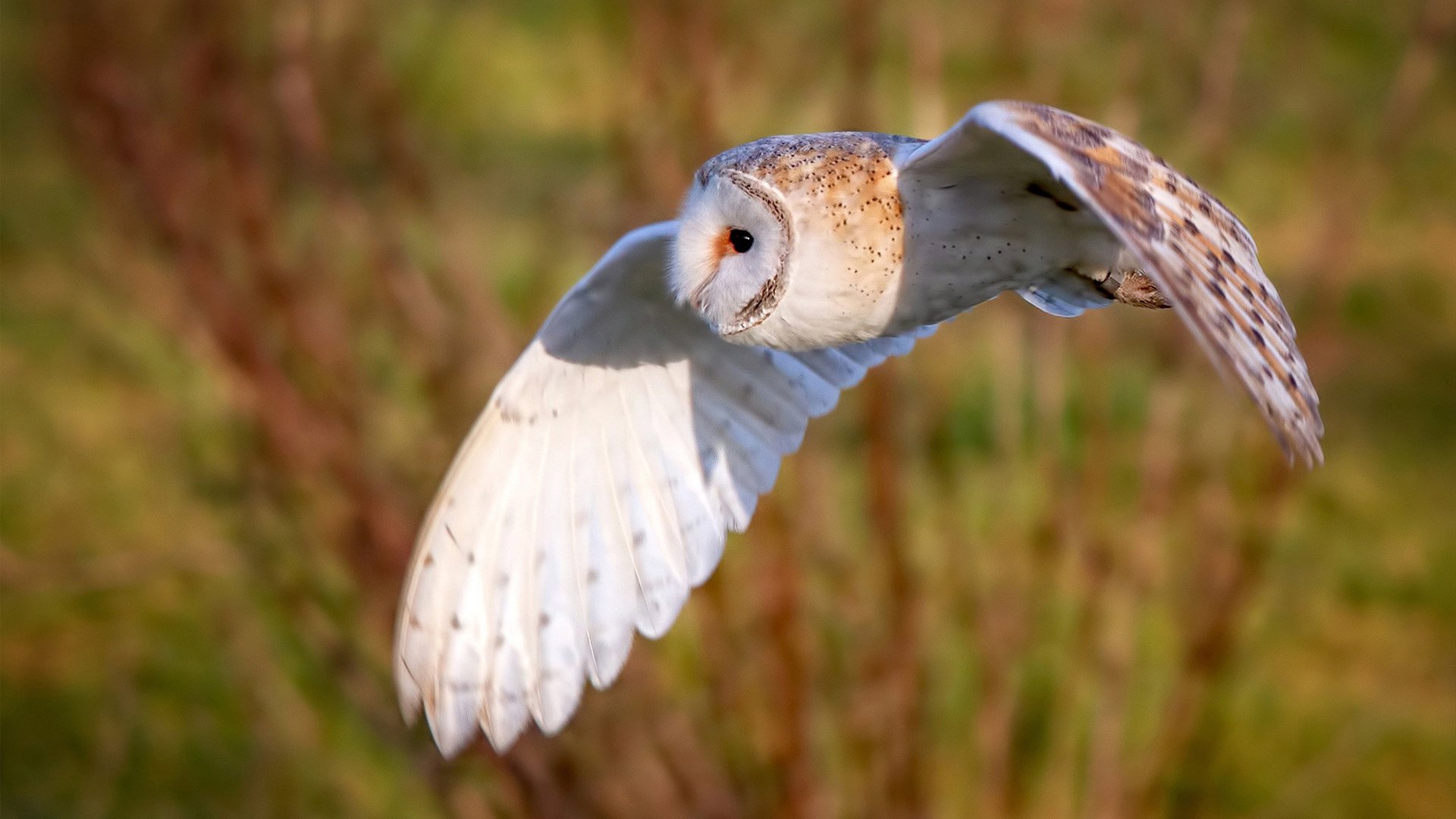 爱游戏体育入口-中国男篮注重突分结合丰富进攻手段,中国男篮战术分析