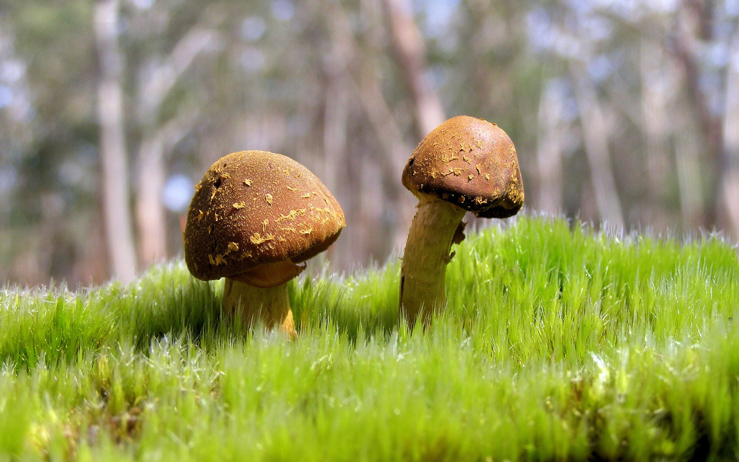 爱游戏体育下载-国际米兰高强度对抗掌控比赛节奏，国际米兰队