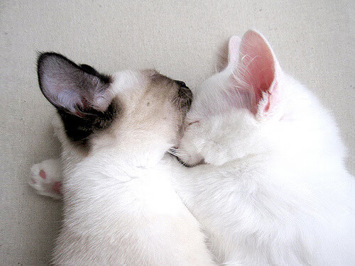 爱游戏平台-奥预赛中国队战平 球迷鼓励积极备战,奥预赛规则