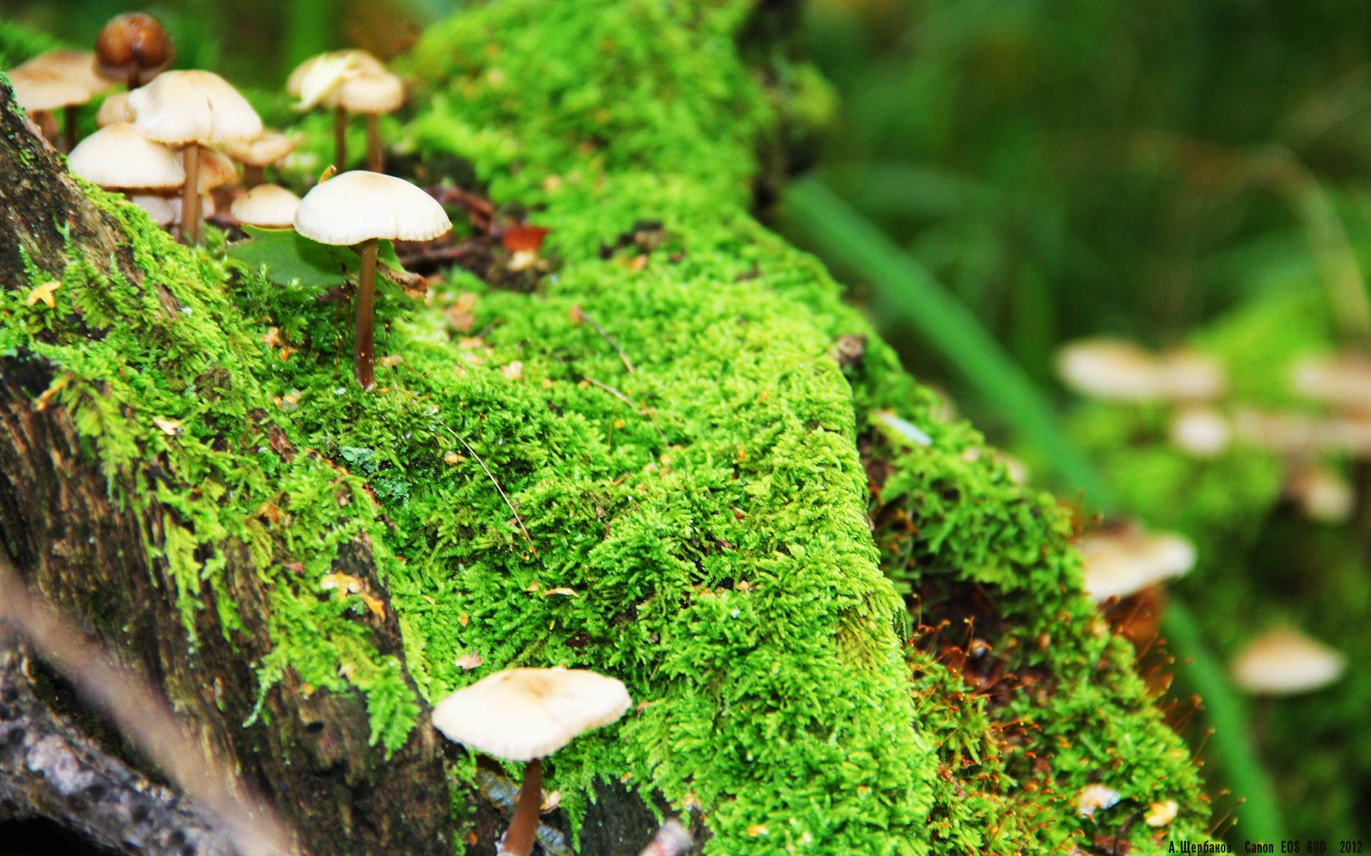 爱游戏入口-节奏与空间是否为现代篮球最重要的变量,节奏空间模型