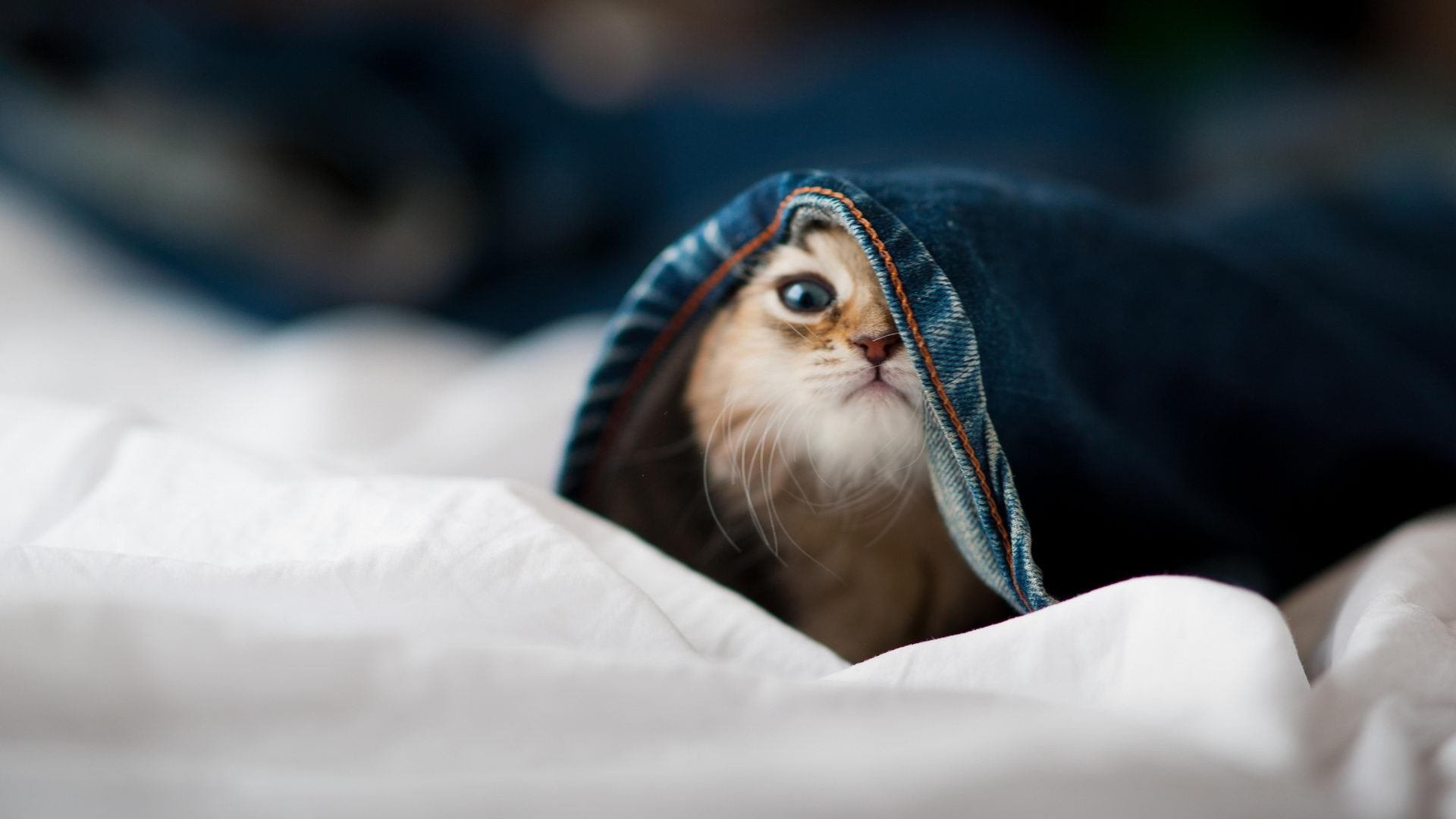 爱游戏app安装-万乐天赛后感谢团队支持,万乐天赛后感谢团队支持怎么说