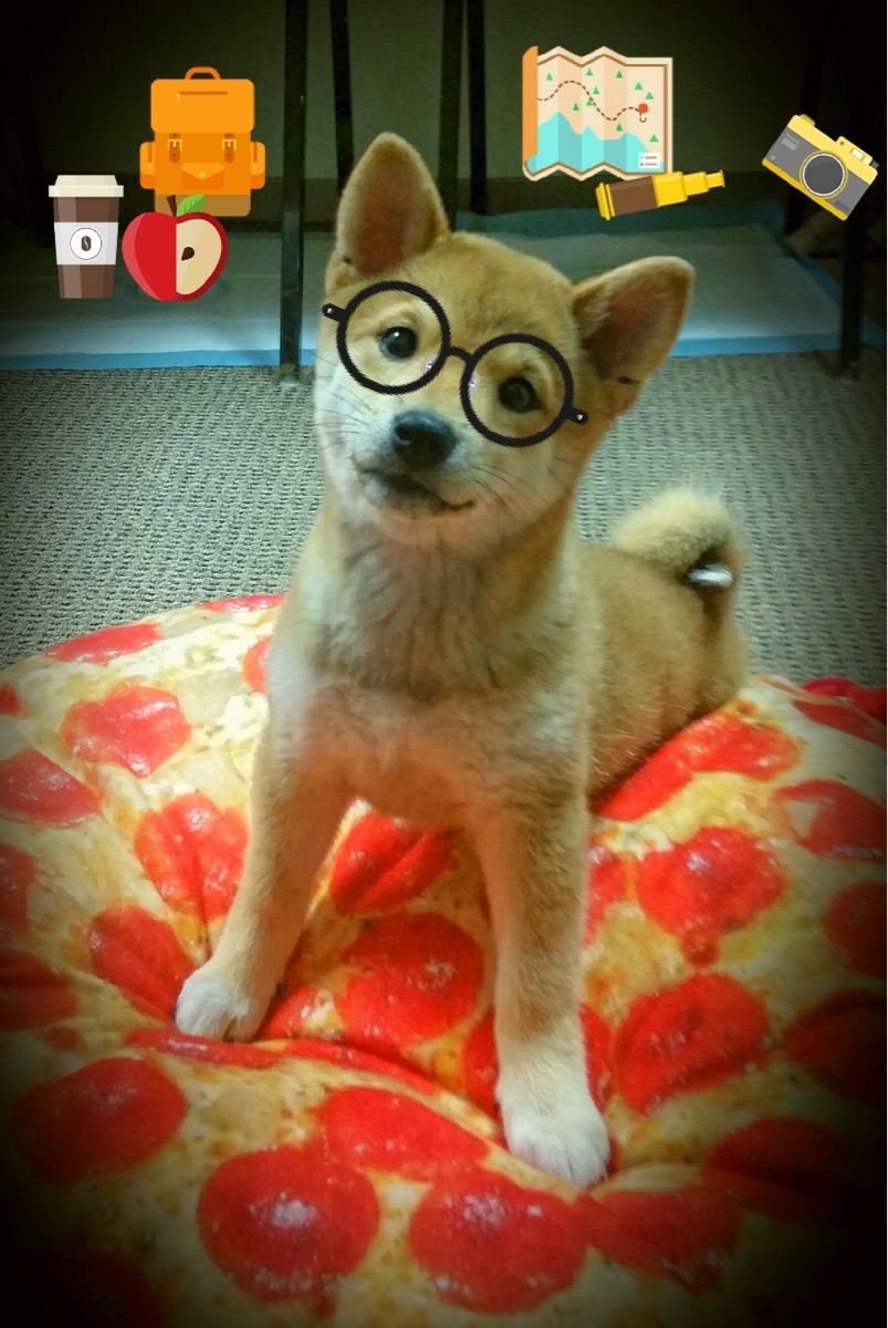 爱游戏app-世界杯高潮频现：精彩瞬间万众瞩目！，世界杯超燃视频