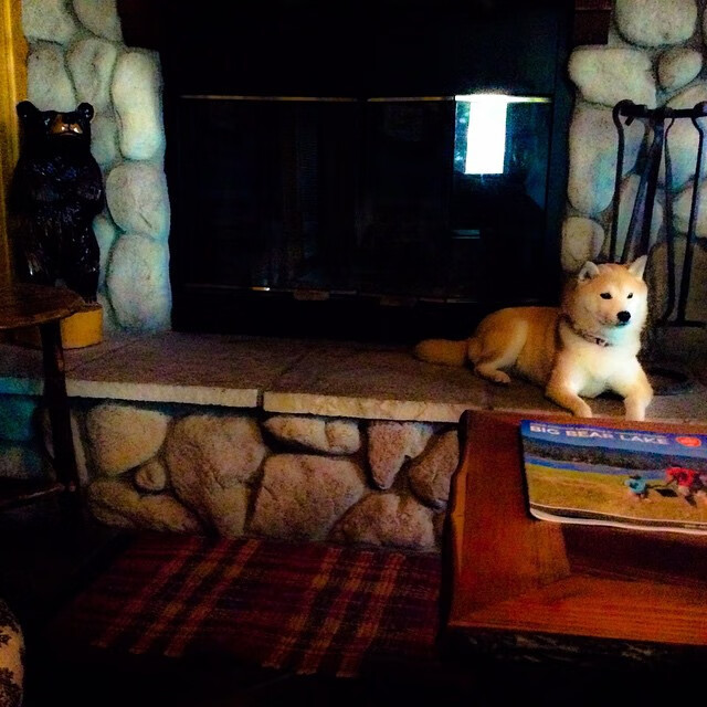 爱游戏-吉尔吉斯斯坦男篮在国际比赛中展现实力，未来值得期待