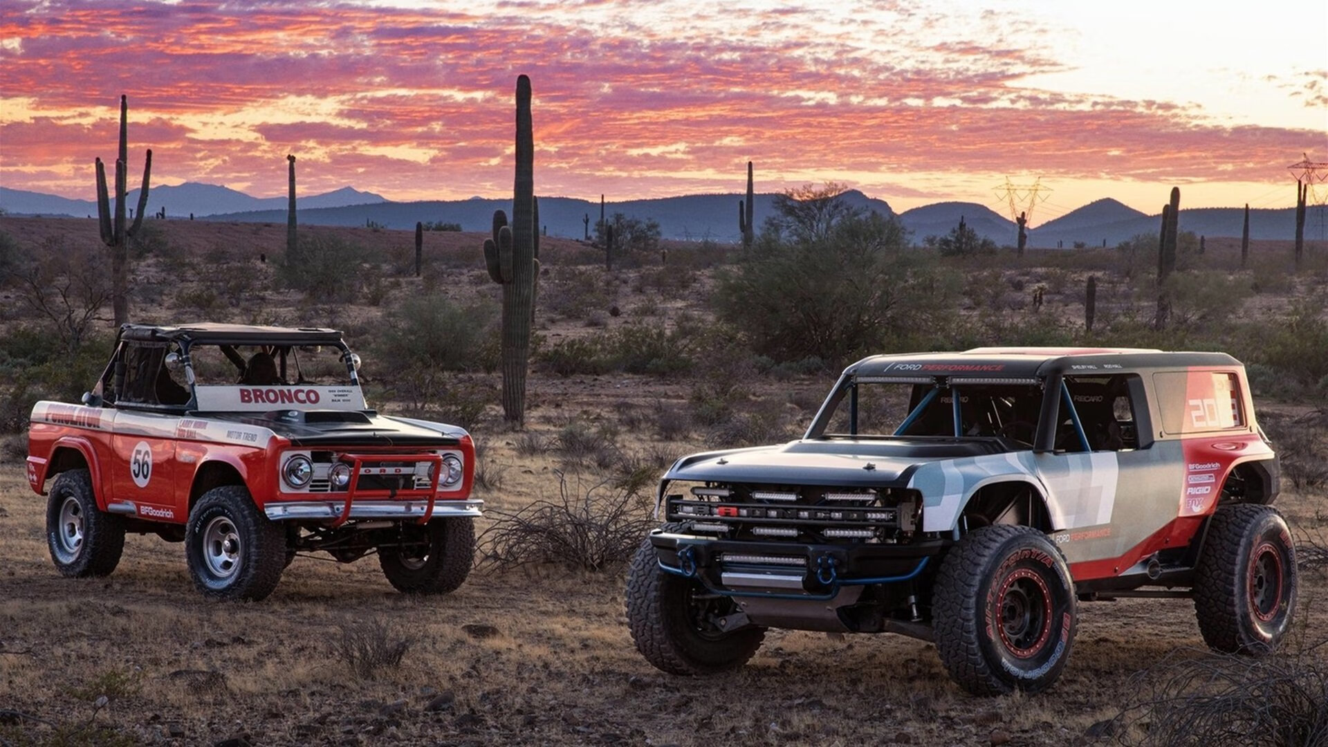 爱游戏官网-弗朗索瓦·斯图尔特:南非队的攻防中坚力量,稳定全场,弗朗索瓦菲利福尔