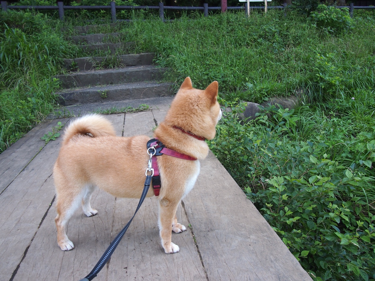 爱游戏app-李娜称希望更多孩子走进球场,歌手李娜的孩子